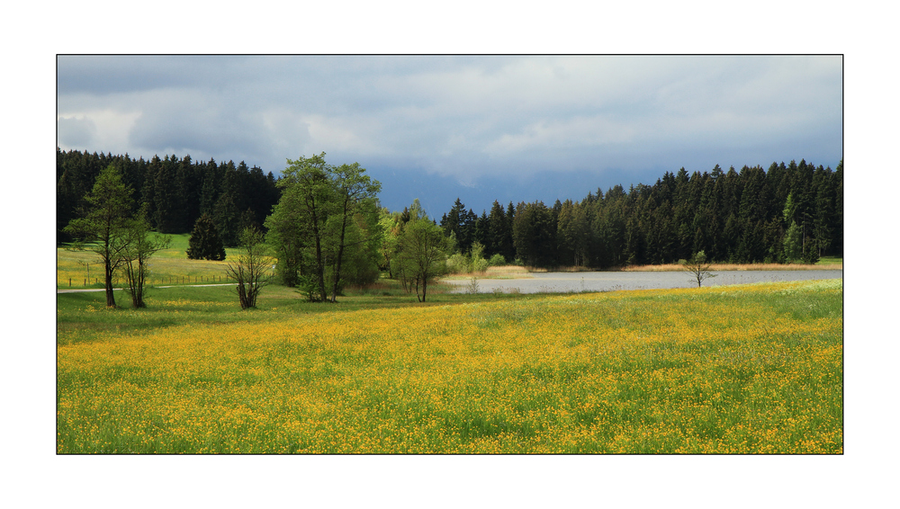 Allgäuer Impressionen 3