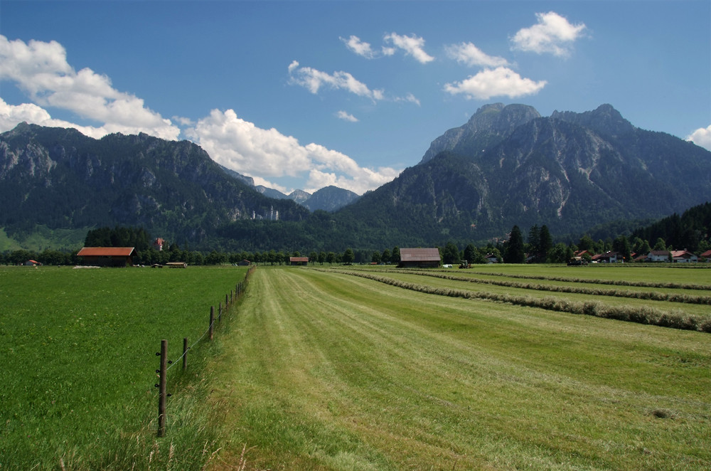 Allgäuer Land - Impression