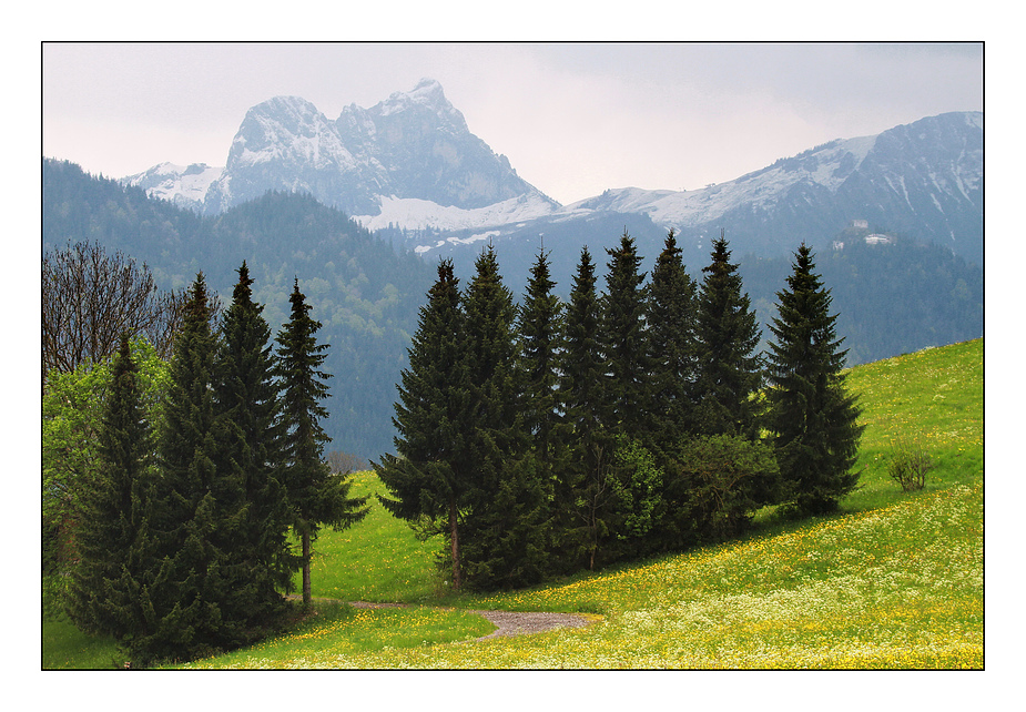 Allgäuer Landschaft