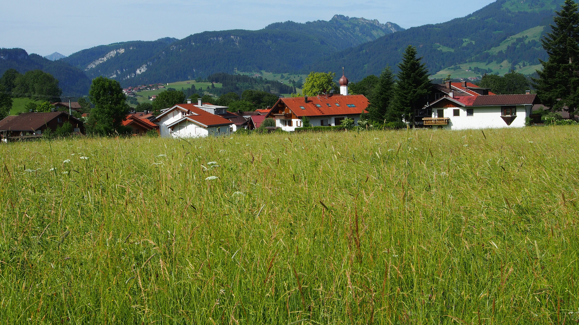 Allgäuer Landschaft