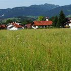 Allgäuer Landschaft