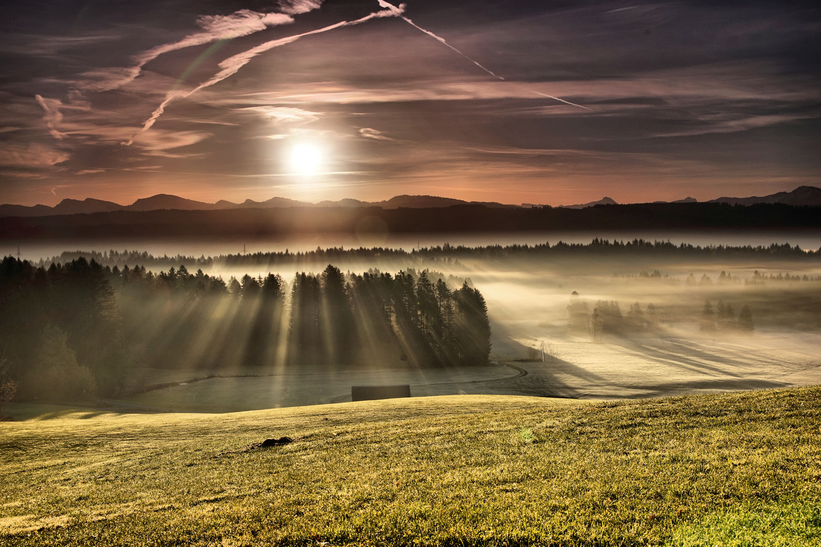 Allgäuer Morgen