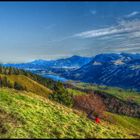 Allgäuer Nagelfluhkette