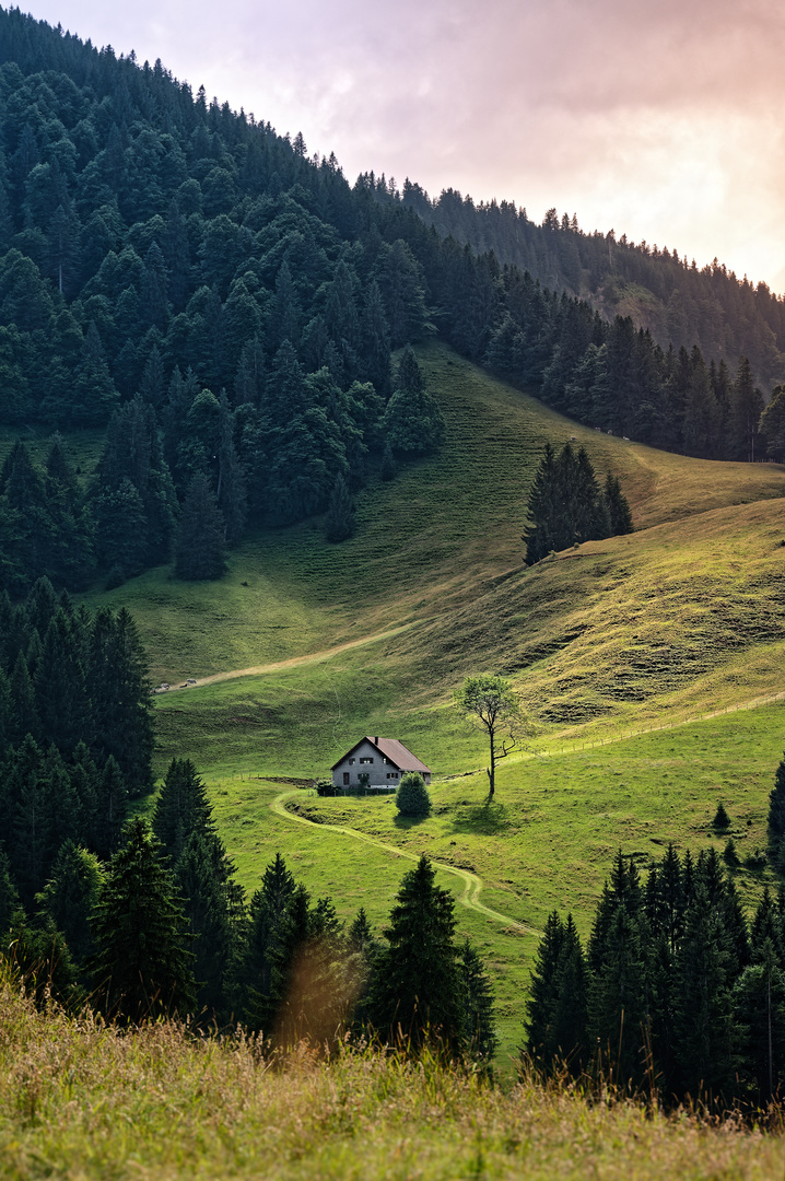 ... allgäuer Romantik ...