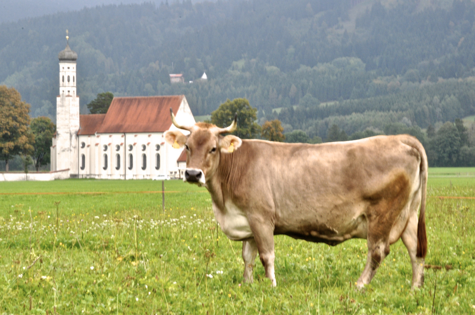 Allgäuer Schönheiten