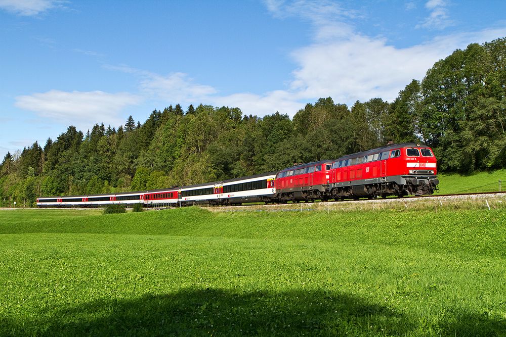 Allgäuer Spätsommer (III)