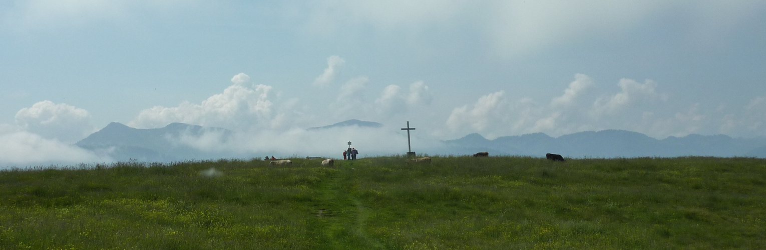 Allgäuer Weitblick