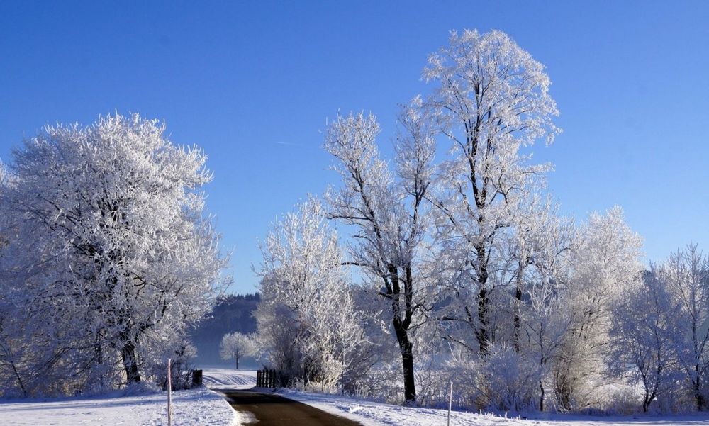 Allgäuer Winter 1