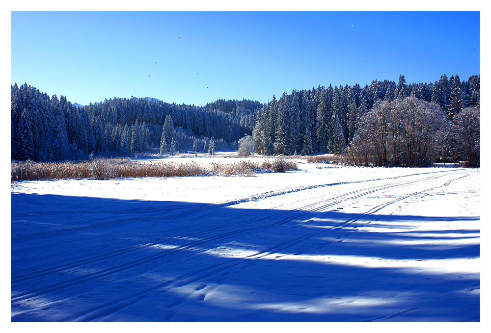 Allgäuer Winter 2