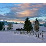 Allgäuer Winterlandschaft