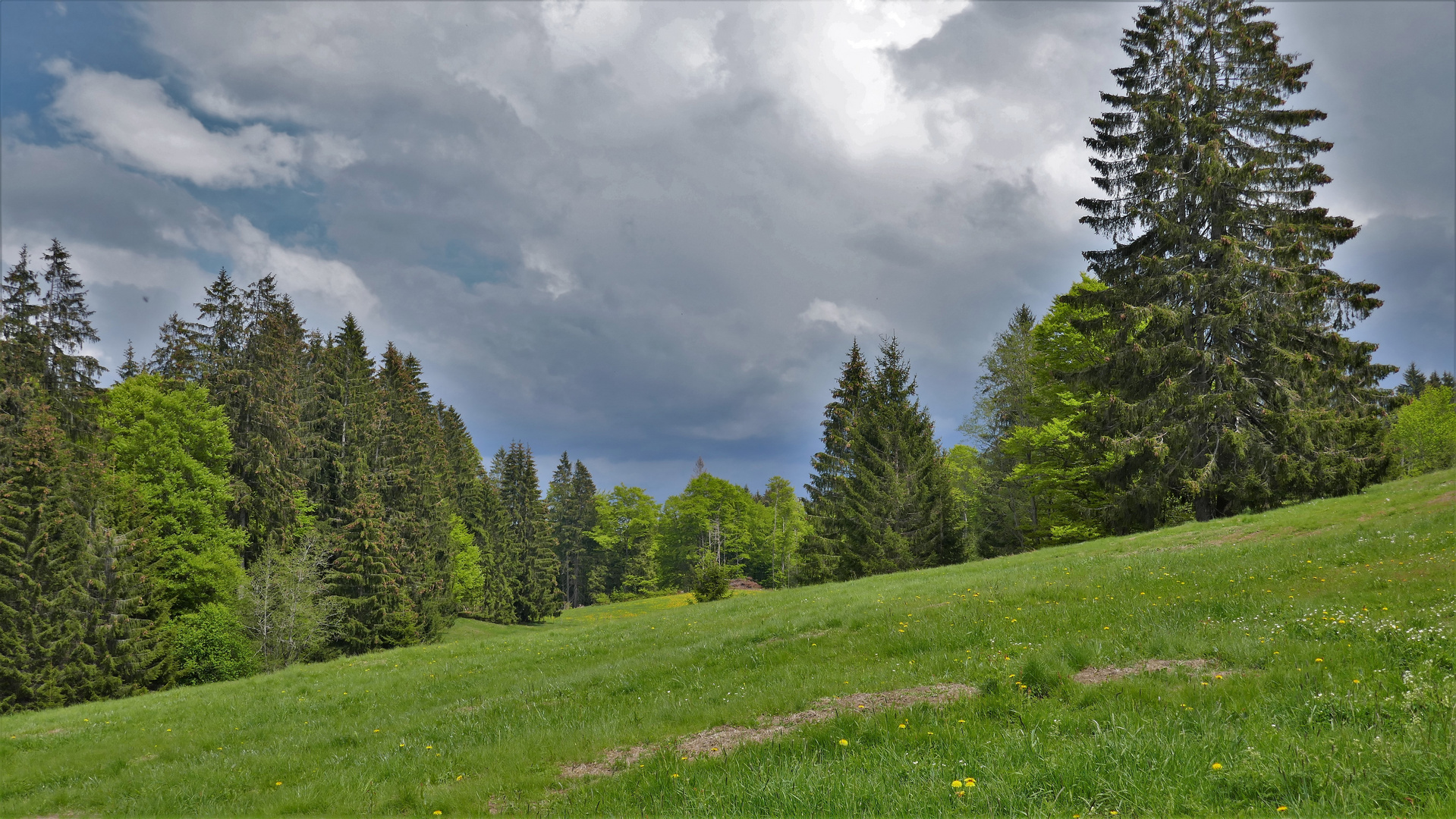 Allgäu.Wetter.Mai. Herrlich zum Wandern