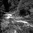 Allhallows Waterfalls in the black forest IV