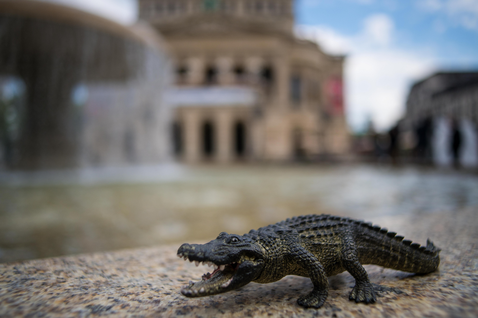 Alligator Alte Oper Frankfurt