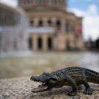 Alligator Alte Oper Frankfurt