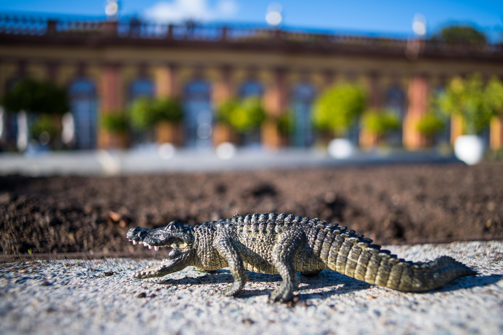 Alligator im Schloss Weilburg