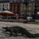 Alligator in Frankfurt