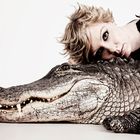 Alligator Love