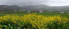 Allihies, farbenfroher Ort auf Beara