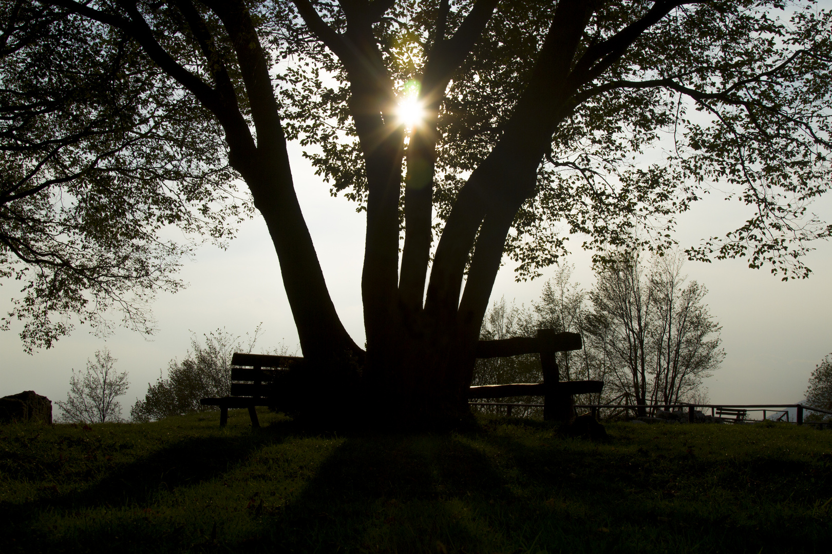 All'ombra dell'ultimo sole...