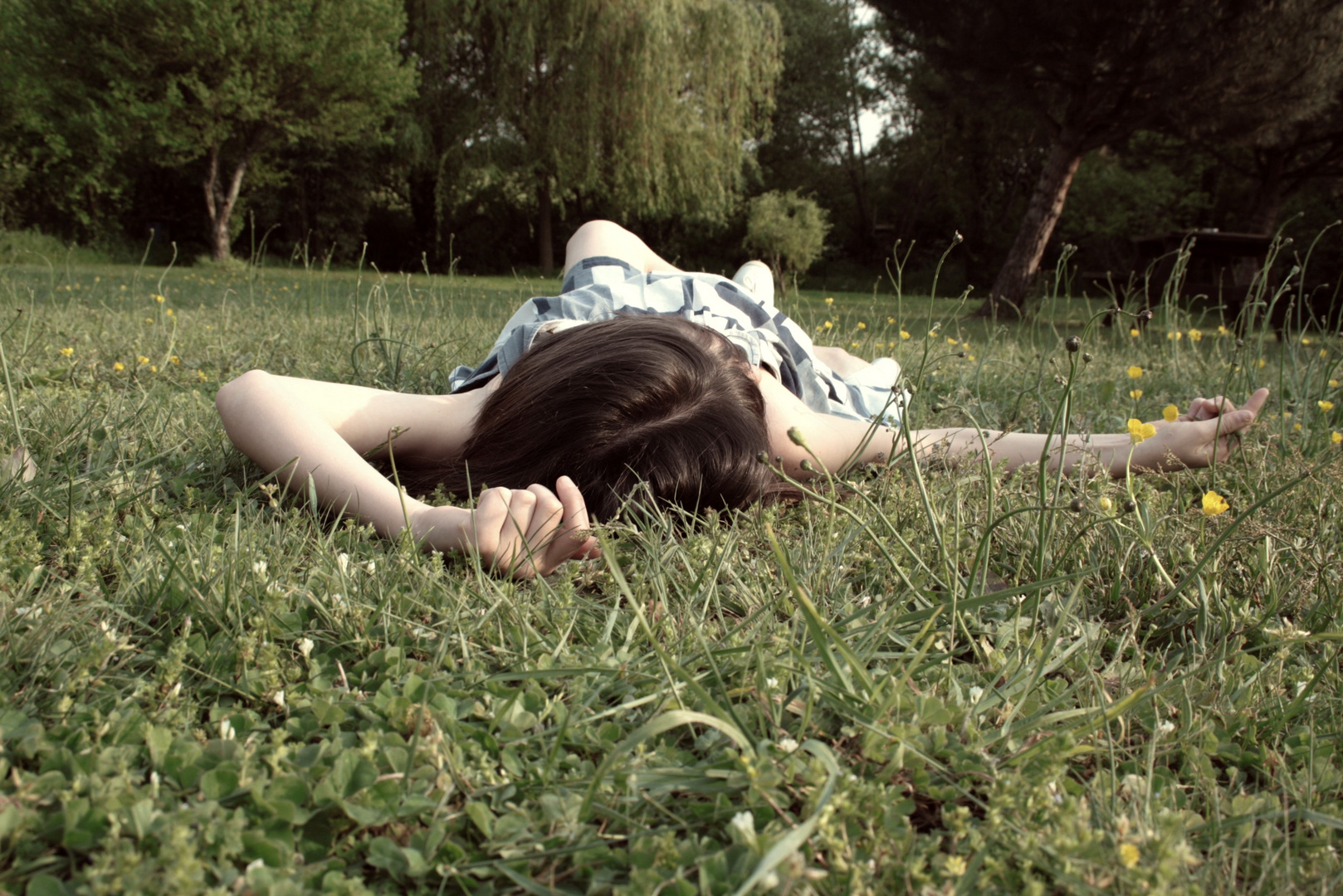 Allongé dans l'herbe