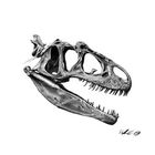 Allosaurus