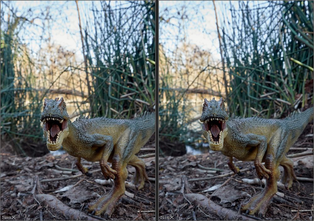 Allosaurus Stereo