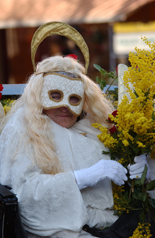 Allschwiler Fasnacht 2008