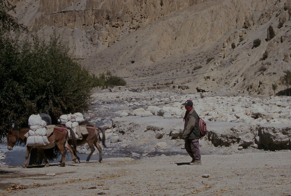 alltäglicher Gepäcktransport in Mustang