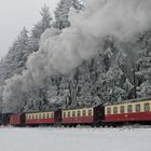 Alltäglicher Kampf mit dem Winter