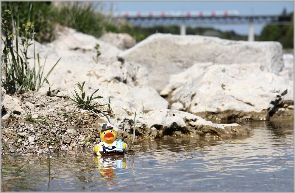 Alltägliches auf der Brücke IV