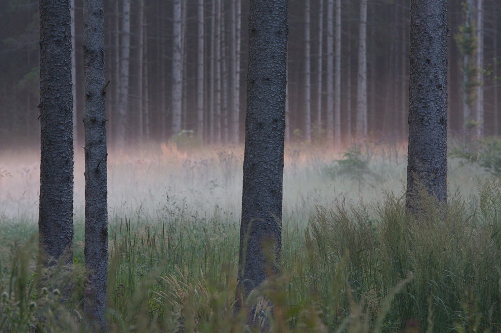 alltägliches Mysterium