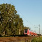 Alltag auf der Riedbahn