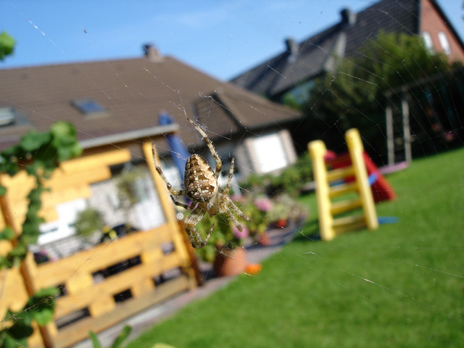 Alltag im Garten