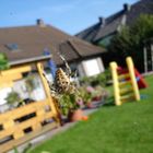 Alltag im Garten