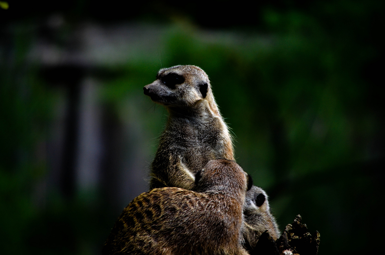 Alltag im Tierpark