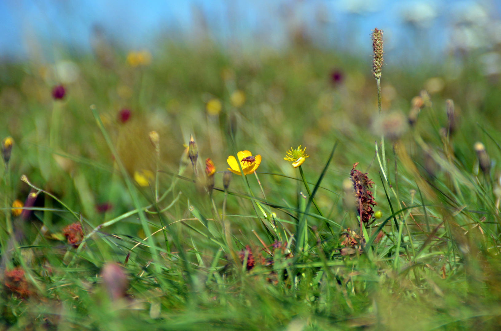 Alltag in der Natur