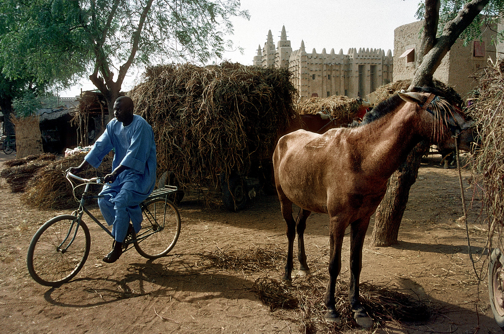 Alltag in Djenné