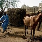 Alltag in Djenné