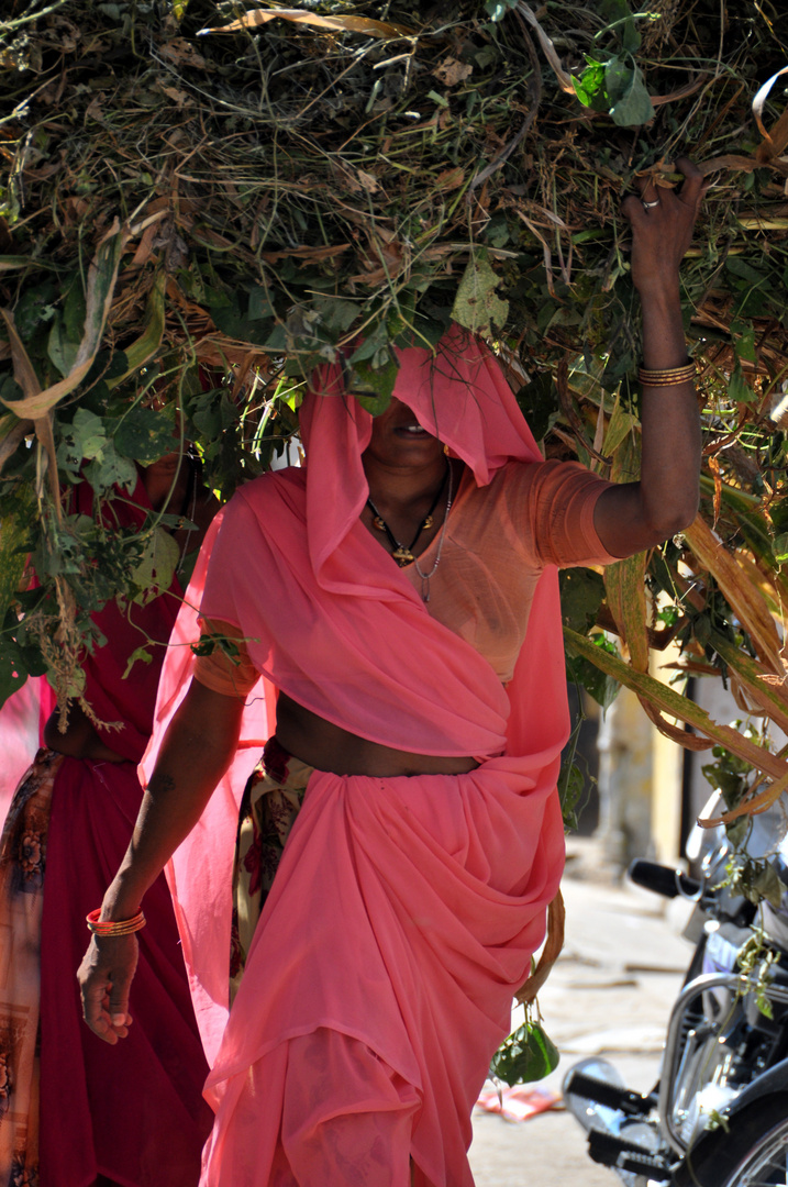 Alltag in Indien