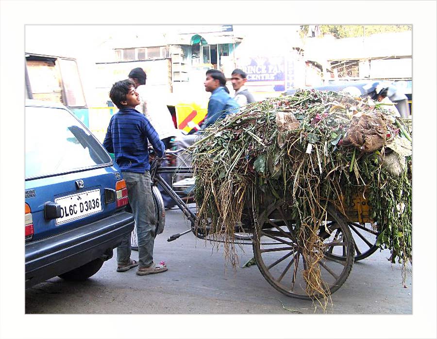 Alltag in Old Delhi