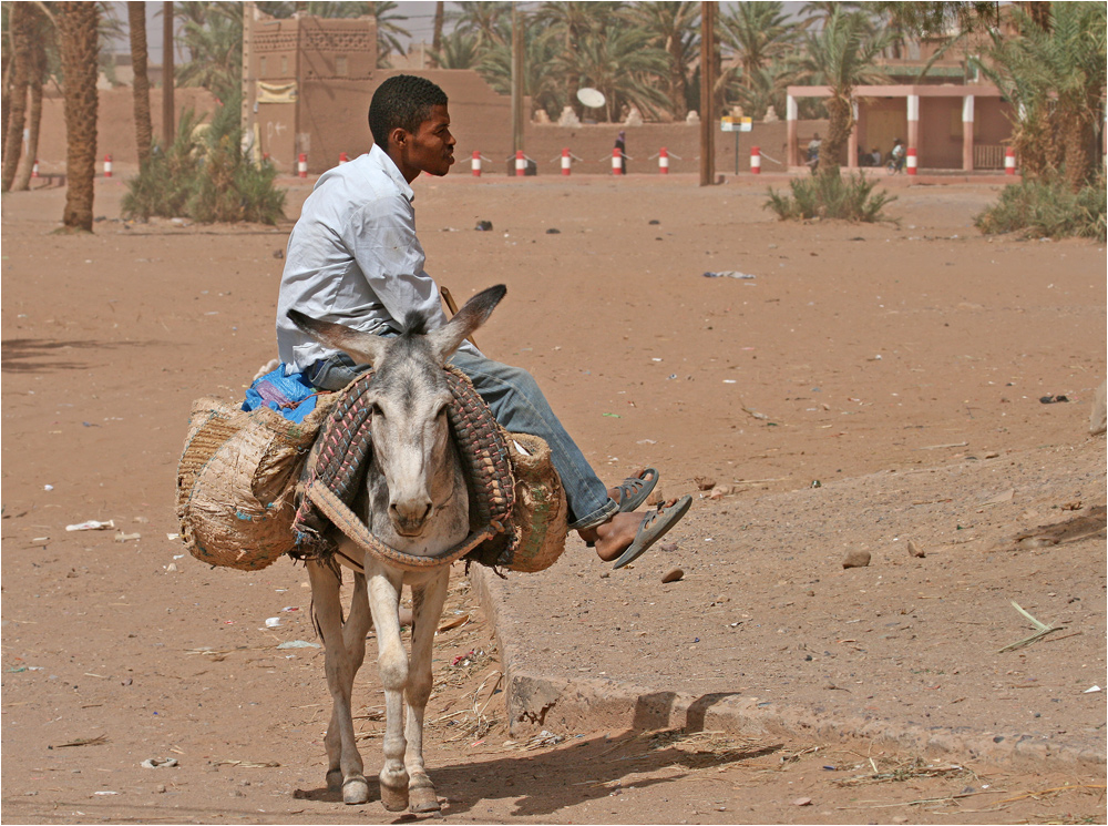 Alltag in Tamegroute am Rande der Sahara