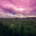 Alltagsfoto
