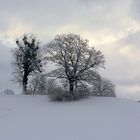 Alltagsgrau - und doch überall anders