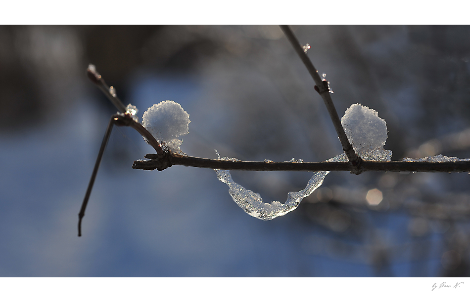 allways look on the bright side of life - was danach kam, wissen wir ja.