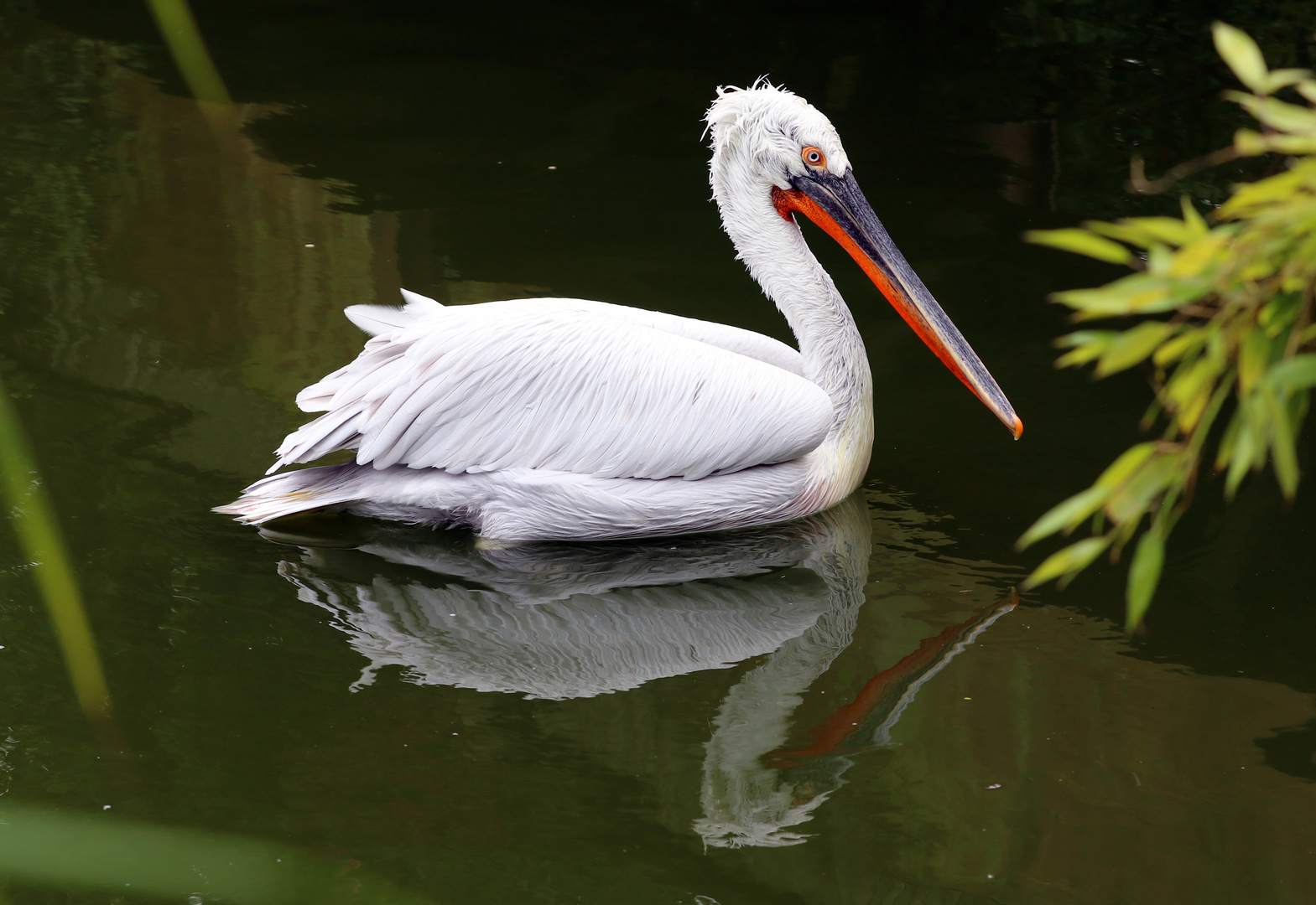 Allwetterzoo Münser