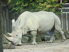 Allwetterzoo Münster