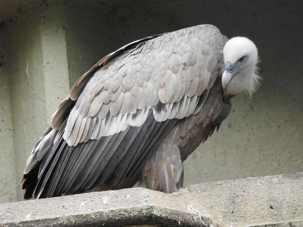 Allwetterzoo Münster