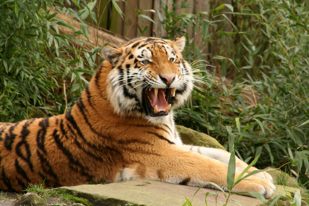 Allwetterzoo Münster