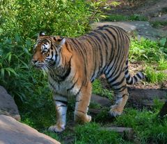 Allwetterzoo Münster