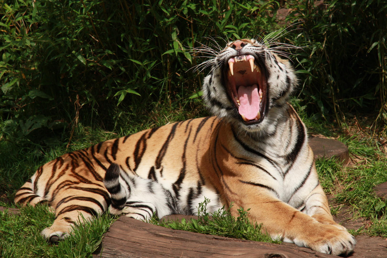 Allwetterzoo Münster